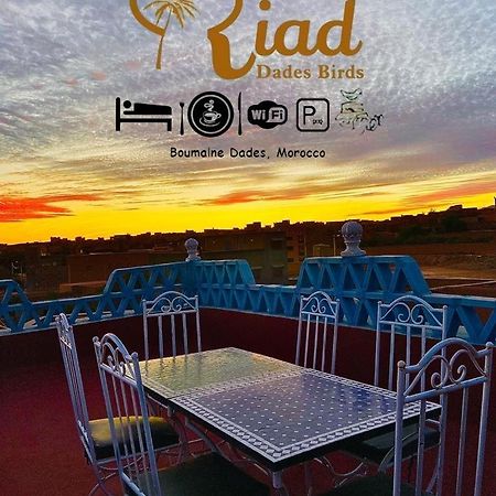Riad Dades Birds Boumalne Exteriör bild