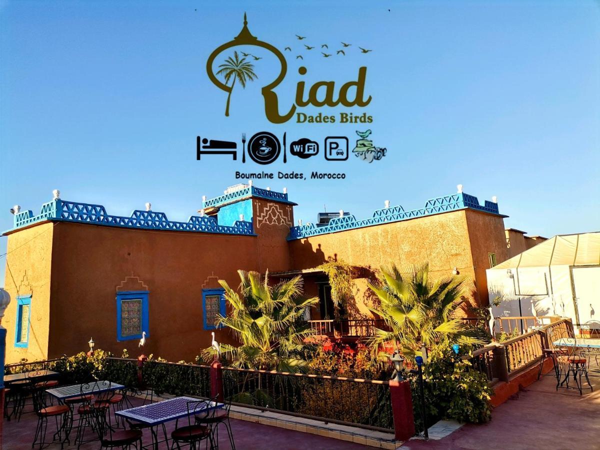 Riad Dades Birds Boumalne Exteriör bild