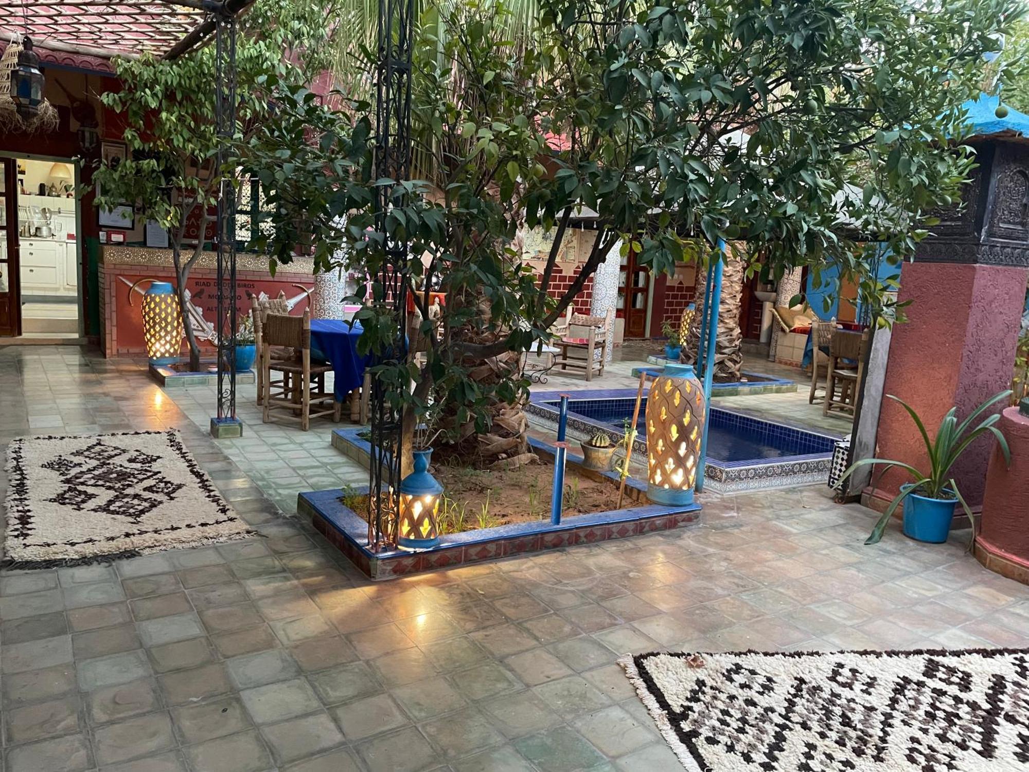 Riad Dades Birds Boumalne Exteriör bild